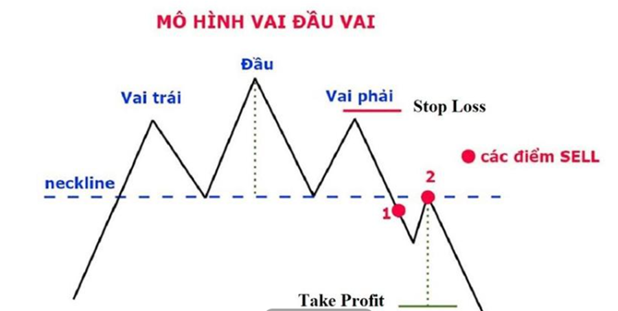 mo-hinh-vai-dau-vai-chi-tiet