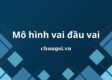 Hé lộ bí mật của mô hình vai đầu vai