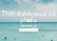 Thời điểm mua cổ phiếu: liệu đã đến lúc tháng 8/2024