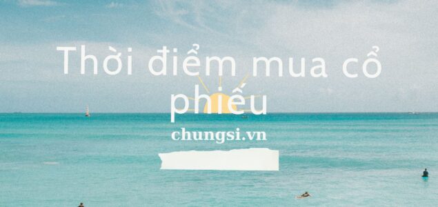 Thời điểm mua cổ phiếu: liệu đã đến lúc tháng 8/2024