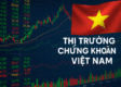 Phân tích cơ hội đầu tư theo nhóm ngành 6 tháng cuối 2025